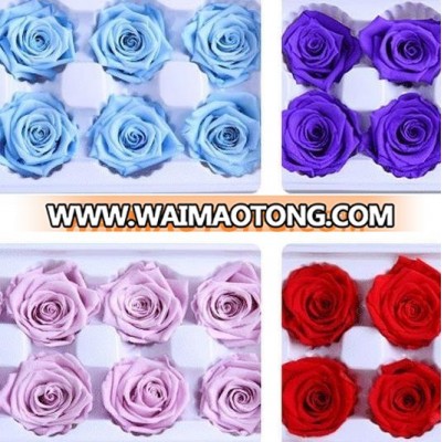 Supply High Quality Fresh Cut Natural Flowers Cut Roses Long Time Lasting Flower