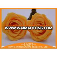 wholesale preserved roses flower on alibaba com