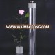 Natural Ecuadorian Roses preserved stem rose with gift box for Valentines Days