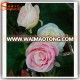 Decorative cheap artificial flower