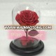 China manufacturer iFan 100% preserved roses wholesale preserved flower in glass