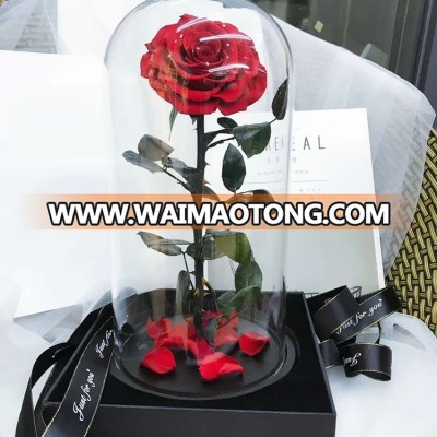 Wholesale eternal rose in glass