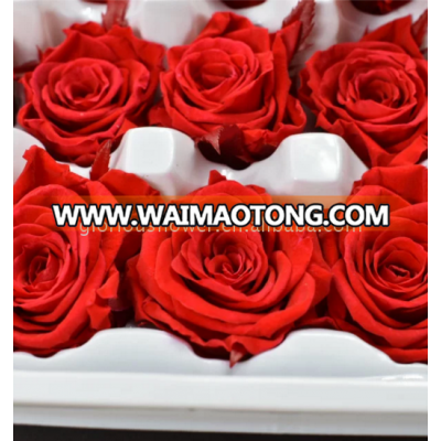 Wholesale preserved flower for wedding occasion small moq preserved flowers