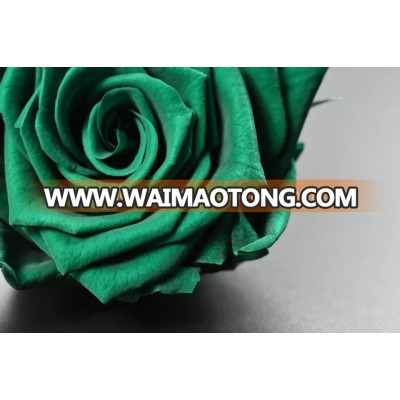 Supply Preserved Flower Wedding Bouquet High Quality Fresh Cut Flower Rose Export From Yunnan,China