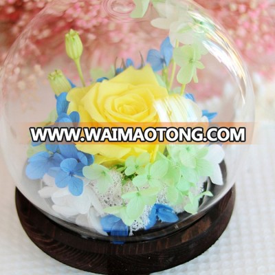 Hot new products for 2017 beautiful wedding decorative wreaths preserved rose in glass dome