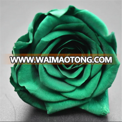 Eternal rose for wedding wall decoration wholesale from china fresh cut rose flower