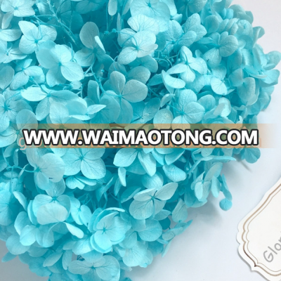 2018 New design wholesales preserved hydrangeas everlasting hydrangeas