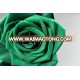 Mother's day Rose Gift Wholesale Everlasting Rose Fresh Cut Rose with Pure Green Color