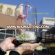 Flamingos and Eternal Flowers For Lover Real Natural Preserved Roses In Glass Dome/Tube For Sale