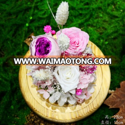 Wholesale factory direct christmas gift high quality rose in glass dome