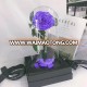 Factory wholesale competitive price high-ranking 24k gold plated forever rose