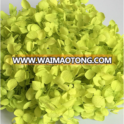 2018 New design kunming everlasting hydrangeas for marriage decoration long time preserving flower