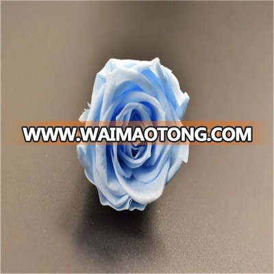 Preserved Flowers Colorful Roses Gift For Valentine's Day Wholesale From China