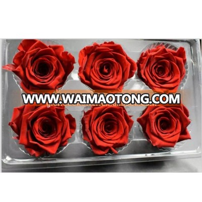 Mixed Color Real Touch Rose Flowers Party Supplies Wholesale Cutting Flower From Yunnan,China