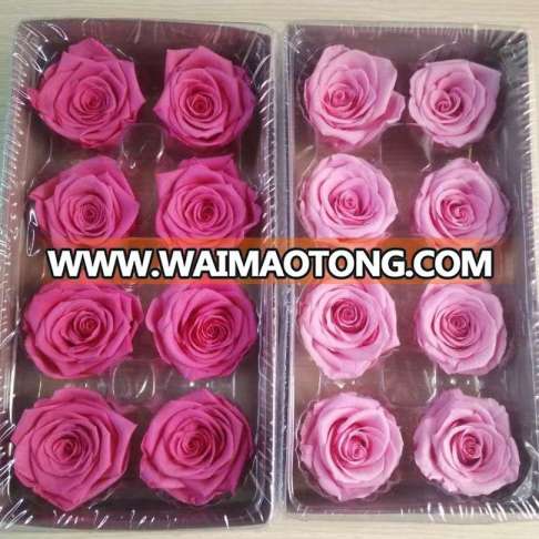 Wholesale preserved rose timeless red white yellow rose color real preserved roses