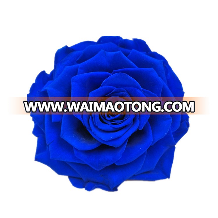 9-10CM Beautiful Roses Preserved Flower