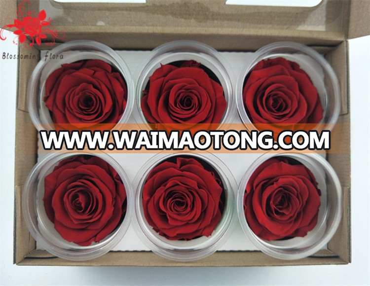 Unfading forever preserved rose christmas decoration flower